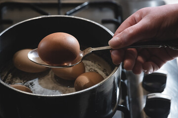 chicken eggs boiled in a pot