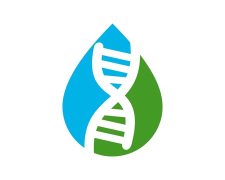 Helix DNA research