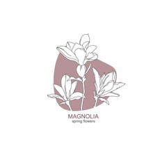 Spring flowers. Emblem with magnolia flowers.  Vector illustration.
