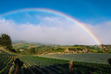 Obraz premium Cartago, Costa Rica.