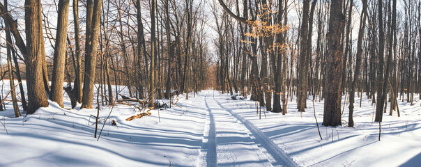 Rural farm winter scenes of the forest and paths with beautiful sun setting skies in Ontario Canada Hinterland - 416171397