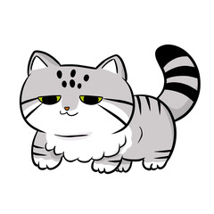 マヌルネコ(Otocolobus manul) かわいい 