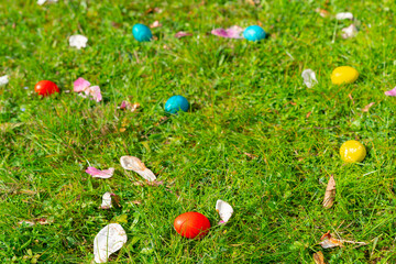A spring green meadow with green grass in garden or park. Easter eggs on the grass.Traditional easter festival outdoors. Hunting for egg
