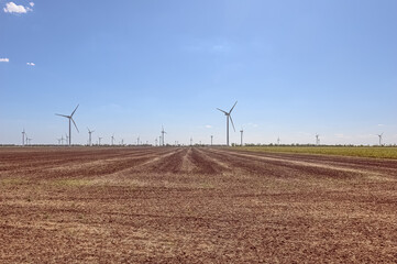 Fototapeta Wind turbines generating electricity on the foreground plowed field. The concept of alternative green energy. obraz