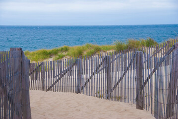 Path to the Beach