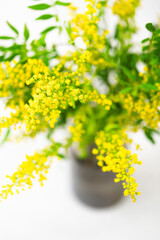 Bouquet of fresh yellow flowers in dark gray vase on white. Selective focus. Spring background.