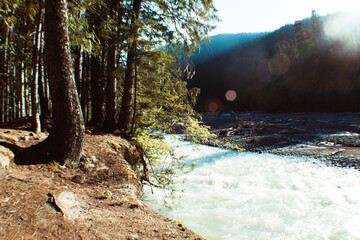 Obraz premium River running through. Mount Rainier National Park, Washington