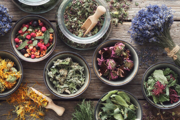 Bowls and jars of dry medicinal herbs. Healing herbs assortment, top view. Alternative medicine. - 416175172