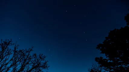 Fototapeten night sky with stars © kyungsam