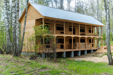 unfinished wooden house in a birch forest