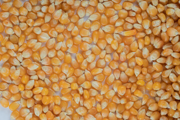 Heap of raw popcorn grains texture background