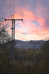Metallic pylons placed in the forest with orange sky by sunset. electricity towers surrounded by greenery.