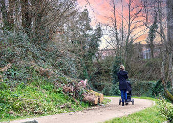 Obraz premium young woman walking a baby cart through a park, with trees and more vegetation with a dirt walk. mother walking her son for a walk in the forest and talking on the phone. dressed black and blonde