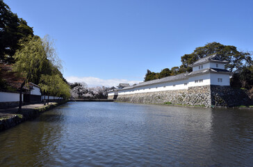 Fototapeta premium 春の彦根城 中堀と佐和口多聞櫓 滋賀県彦根市