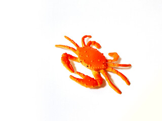crab