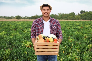 Farmer with wooden crate full of different vegetables in field. Harvesting time