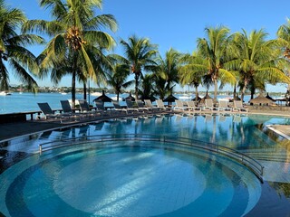 swimming pool with trees