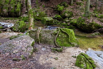 Gorges de Douanne