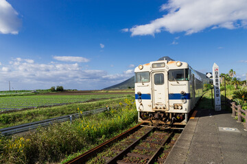 Naklejka premium JR日本最南端の駅 鹿児島県西大山駅