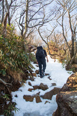 御在所岳登山　雪の残る中登山道