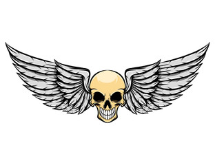The logo inspiration of the dead human skull with the wings