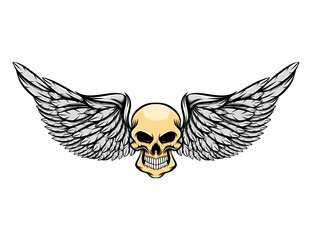 Fototapeta premium The scary human skull without eyes and the long wings