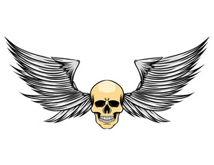 The sharp wings with the skinny head of the dead skull