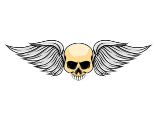 The short wings with the dead skull