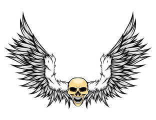 The colored human skull with the fur and the feather wings