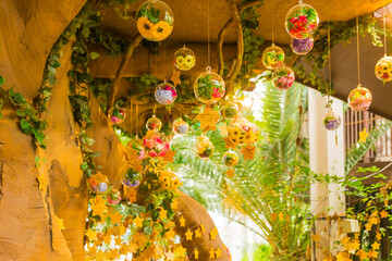 Fototapeta premium 지리산허브밸리 풍경 