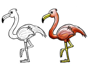 Flamingo cartoon - line and color
