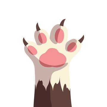Cat foot paw palm claws, pet shop logo, isolated on white background. simple cartoon flat style, vector illustration.