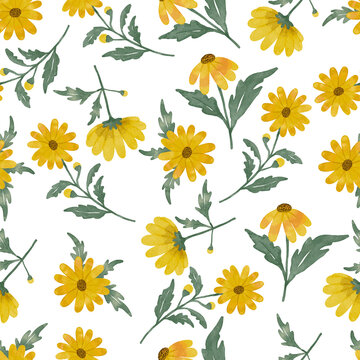 Yellow Daisy Flower Watercolor Pattern Seamless Design Hand Drawing With Yellow Flower Color And Green Leaf Color