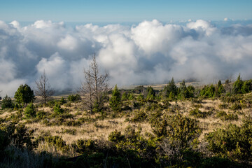 Clouds eye view in the Haleakala National Park in Hawaii