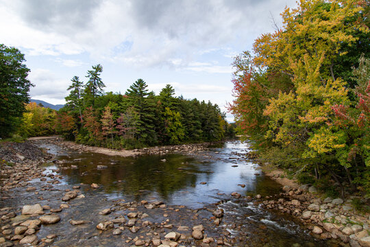 Shallow river fork in autumn