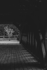 looking through a covered bridge with tree at the end