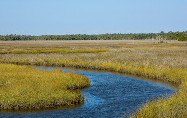 Airboat Canal in Grass Flats