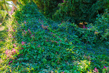 Fototapety na wymiar - Fototapeta24.pl