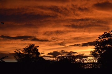 Brasília Orange Sky 4