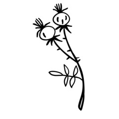 sprig of rose hips, berries and leaves, doodle, black color, in the doodle technique, cartoon vector picture for social networks, stock illustration