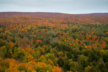 Spectacular fall colors in the Superior National forest of Minnesota's north shore