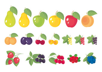 Set of stilized cartoon garden fruits and berries  with leaves isolated. Vector illustration, simbol, icon, logo, stickers, design elements for label, packaging