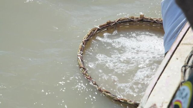 Sorting of shrimp catch in woven basket in Guyana, South America 
