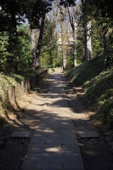 東京の公園の風景