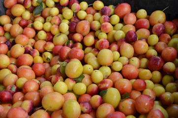 red and yellow plums