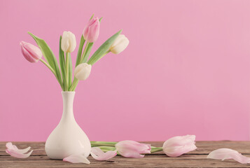 tulips in white vase on pink background