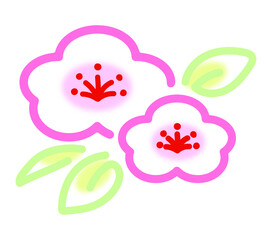 かわいい梅の花のイラスト・白 ピンク