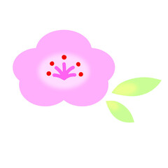 かわいい梅の花のイラスト・アイコン ピンク色