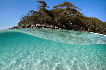 Obraz premium Underwater paradise, Jervis Bay, Australia