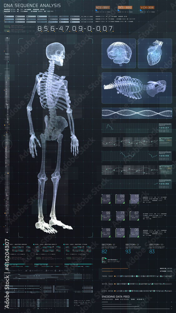 Aufkleber Vertical display format : Futuristic virtual holographic head up display of biomedical human body scan, neurological examination, vertebral column and heart diagnostic for tablet display